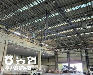 부산화훼농협 SKFAN 대형실링팬 산업용실링팬 KQ 모델 - 세강솔루션(주)1566-432