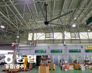 경주) 농협 SKFAN 대형실링팬 산업용실링팬 PMSM,70-inch,BLDC 모델 - 세
